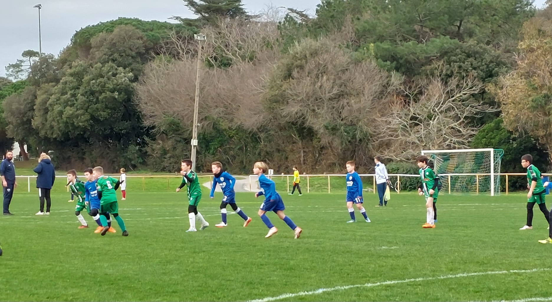 IMG-20240129-WA0001.jpg (268 KB)